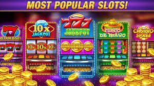 evobet গেম শো নিয়ম ও সতর্কতার নোট